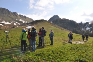Bergvogel-Exkursion mit Dr. Christoph Meier 10. Mai 2018